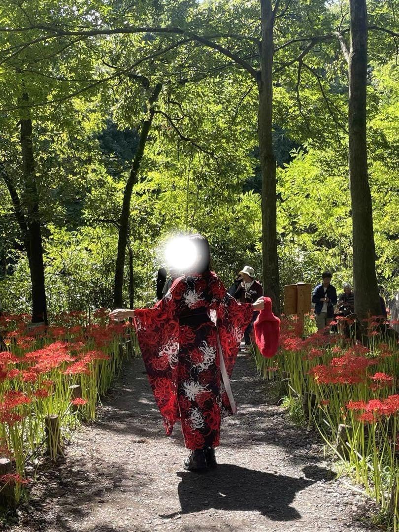 Amazon.co.jp: 赤黒ゴシック地雷個性的稀有彼岸花浴衣振袖曼珠沙華  