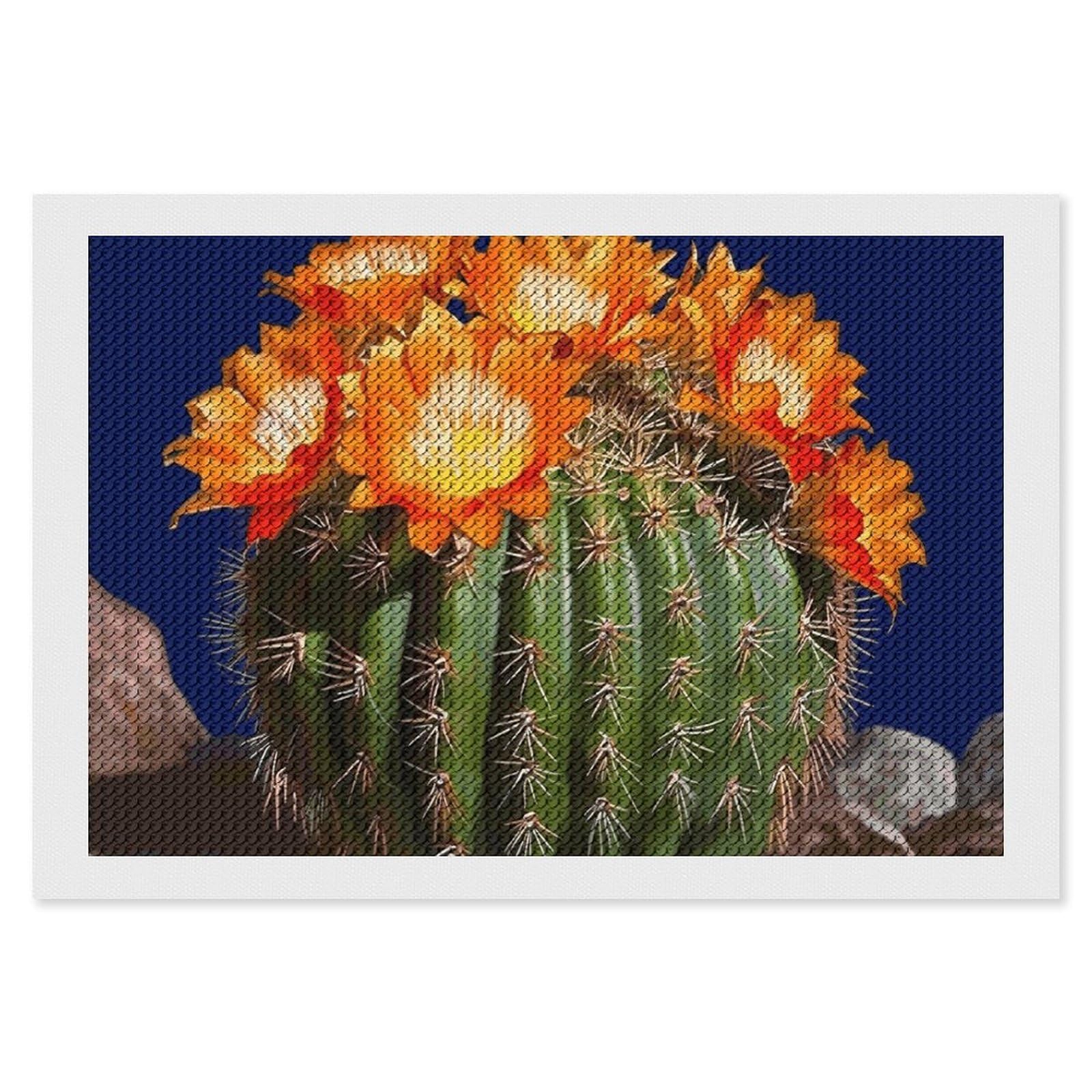 NONHAI Diamond Painting Kits for Adults - DIY Diamond Art Kits for Beginners - Full 5D Paint Drill Diamond Dots Paintings- Blooming Barrel Cactus Diamonds Pictures Gem Art and Craft Wall Decor 8"x12"