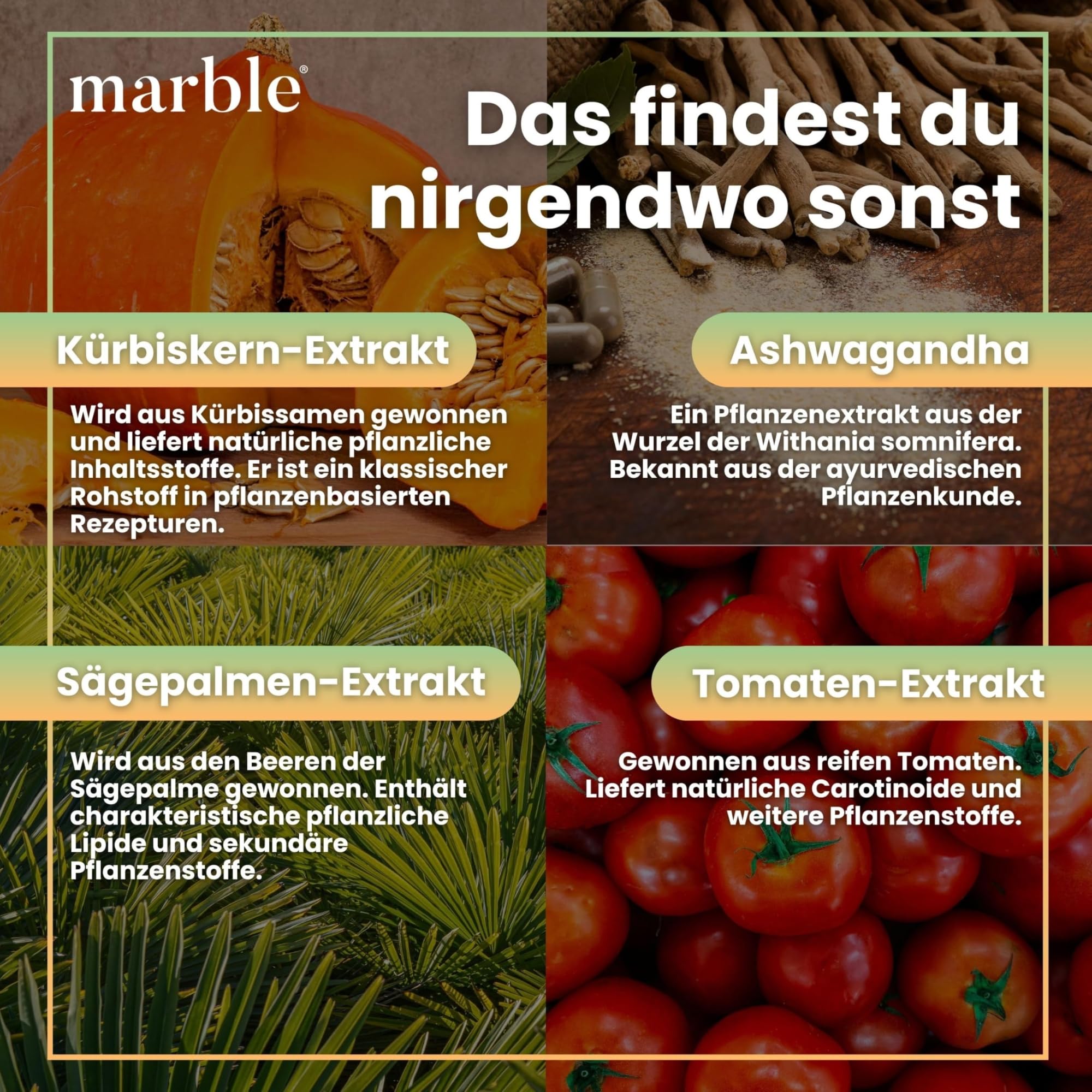 marble® Prosta Vital – Prostata Komplex Kapseln - 120 Kapseln vegan - Zink für den Erhalt normaler Testosteronspiegel + Sägepalmenextrakt, Kürbiskernextrakt, Lycopin & Ashwagandha KSM-66