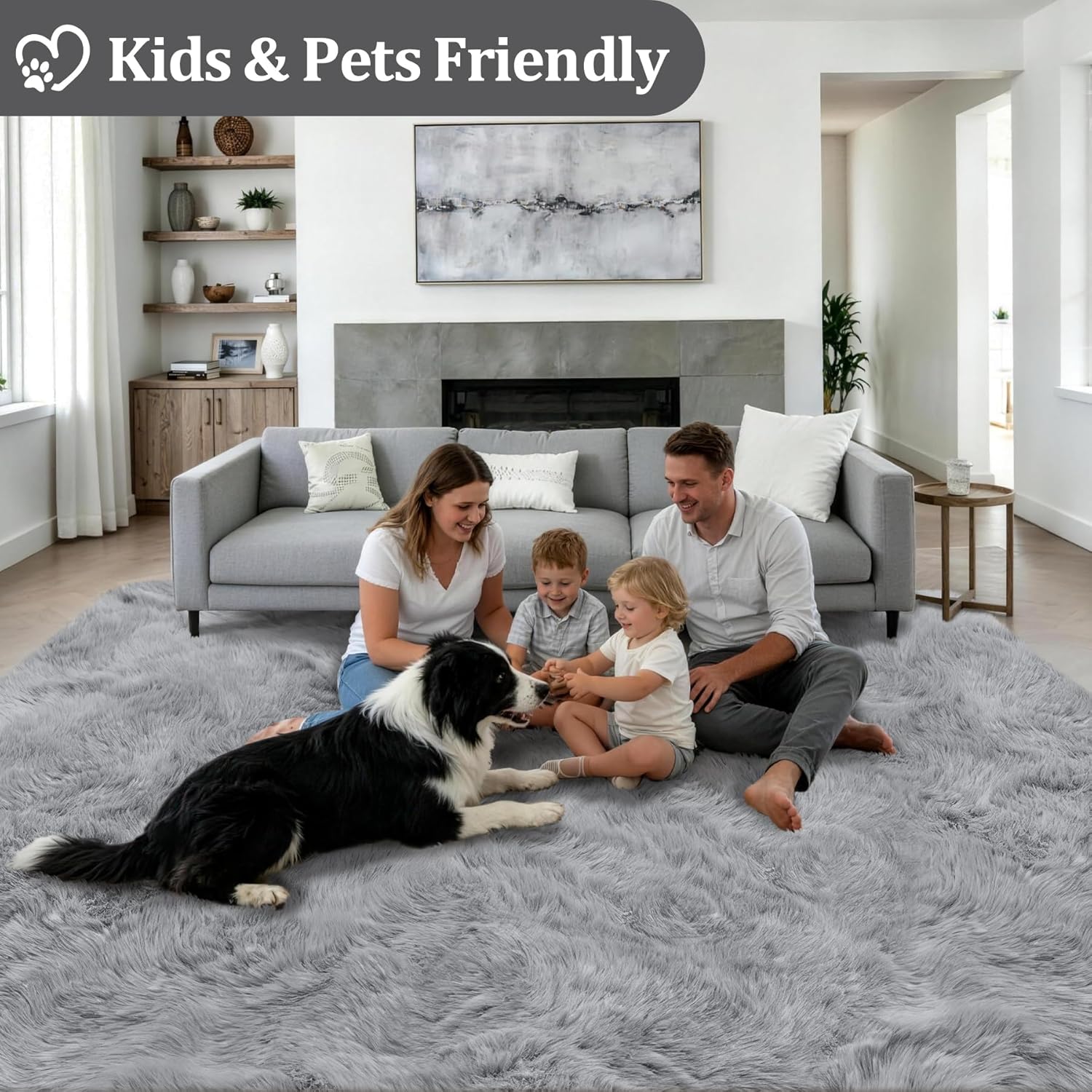 Fluffy 4x6 Area Rugs for Living Room Bedroom: Ultra Soft Shag Rug Non-Slip Non-Shedding Small Plush Bedside Rug Indoor Floor Carpets for Kids Room Playroom Entryway Nursery Dorms Home Decor Gray