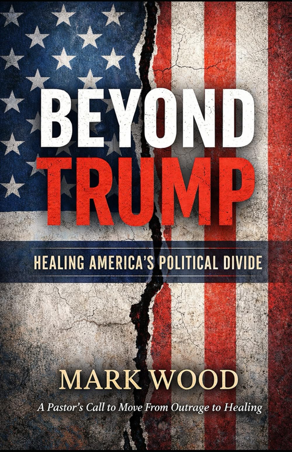 Beyond Trump: Healing America's Politcal Divide