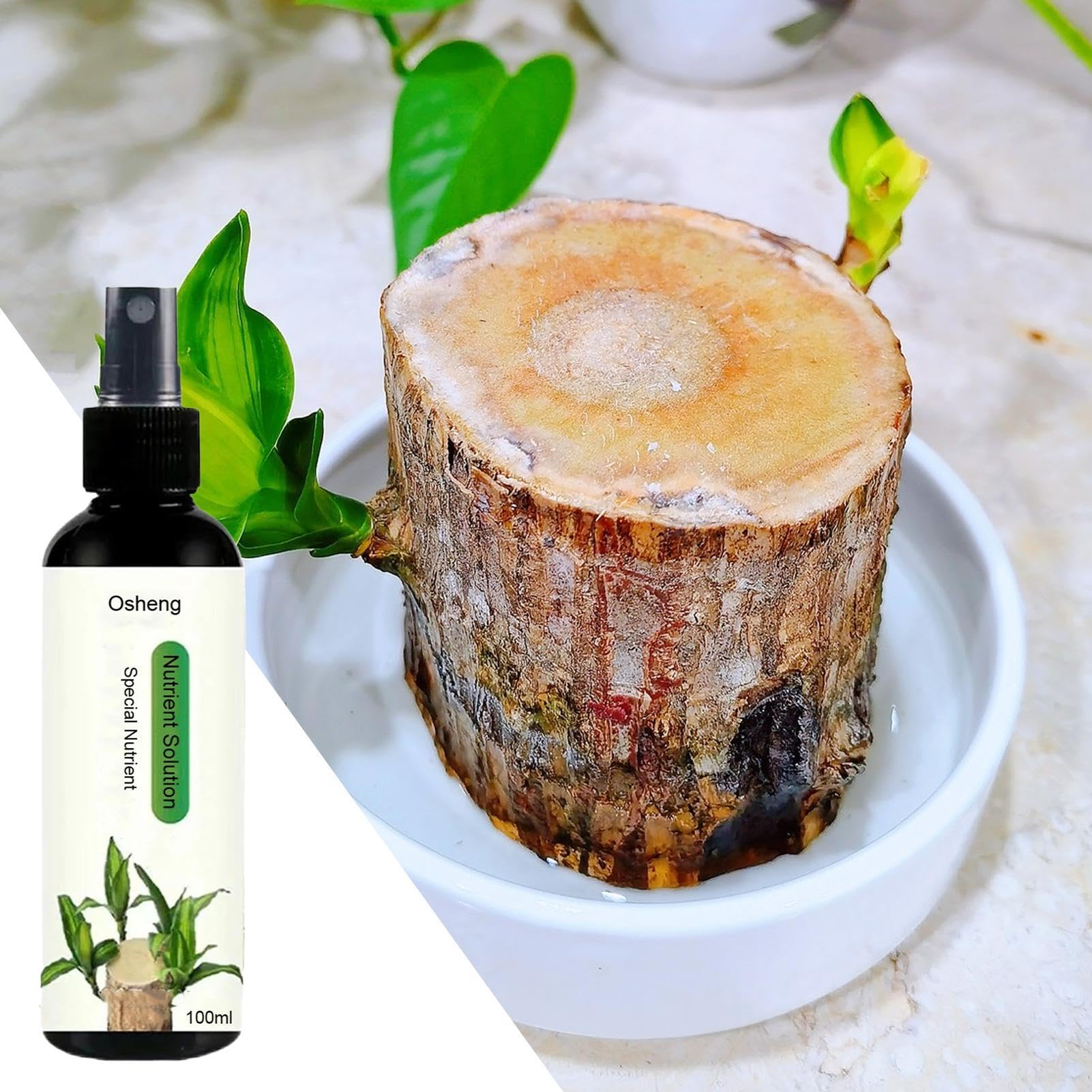 Braziliaanse houtvoedingsoplossing, Braziliaanse houthydrocultuur - Lucky Wood Vloeibare Meststof 100ml,Lucky Braziliaanse houten kamerplantmeststof, vloeibare meststof voor kamerplanten