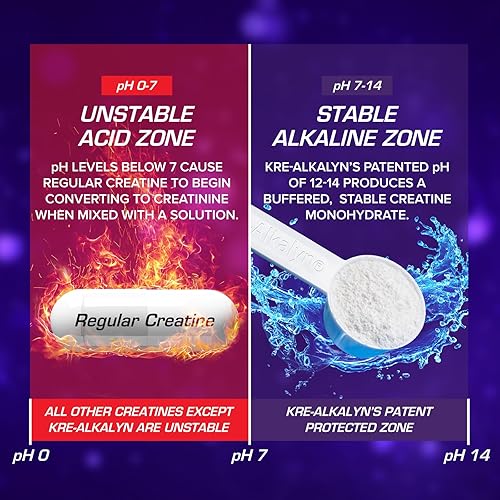 Miniatura 6 de Nuevo EFX Kre-Alkalyn  Monohidrato de creatina correcto de pH  Fórmula patentada gana fuerza desarrolla músculo y mejora el rendimiento  Mango -