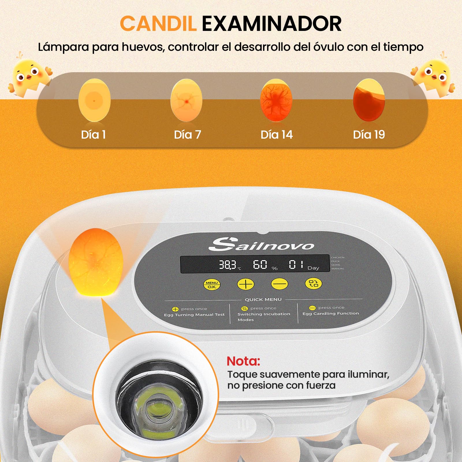 Sailnovo Incubadora para 24 Huevos con 4 Modos, Incubadora de Huevos con Volteo Automático y Monitor de Humedad, Lámpara de Huevo, Incubadora Huevos Gallina Vista 360° Ventana Transparente, Gris