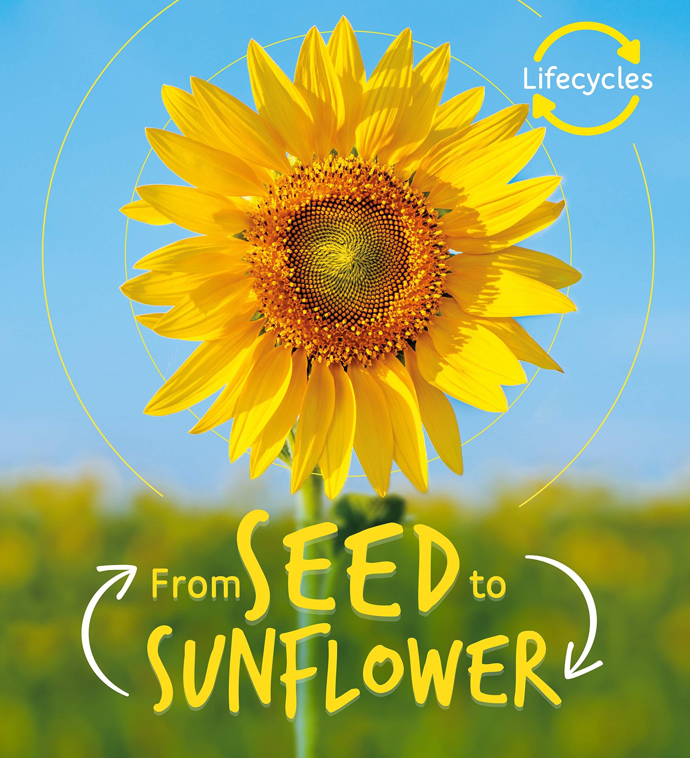 Lifecycles: Seed to Sunflower: 1- cover may vary