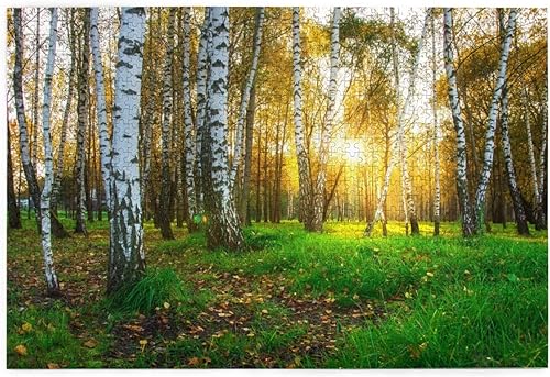 ZHANBOX Rompecabezas de 1000 piezas diseño de ciervos de animales silvestres para niños adolescentes familias grandes juguetes de regalo