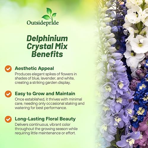 Miniatura 3 de Outsidepride Delphinium Magic Fountains - Flores de cristal cortadas para jarrones, ramos, arreglos - 200 semillas