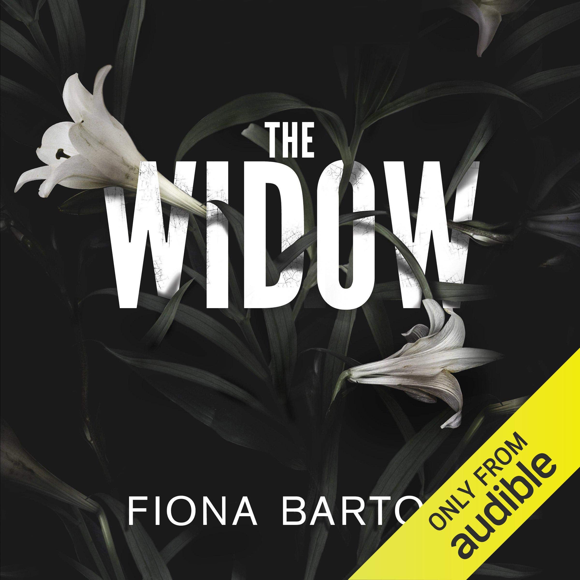 Cover art for The Widow