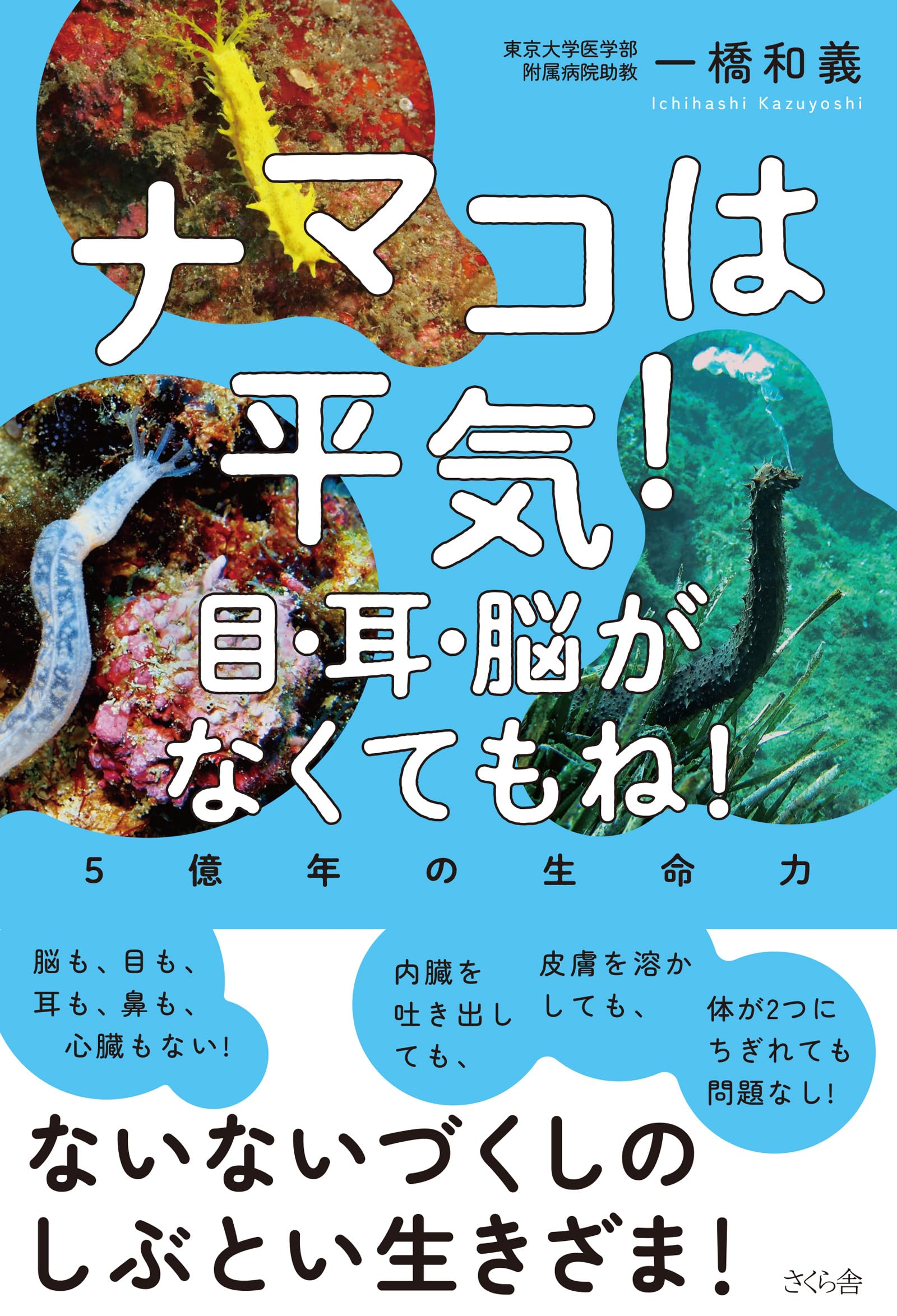 ナマコは平気！目・耳・脳がなくてもね！ ―5億年の生命力 | 一橋和義