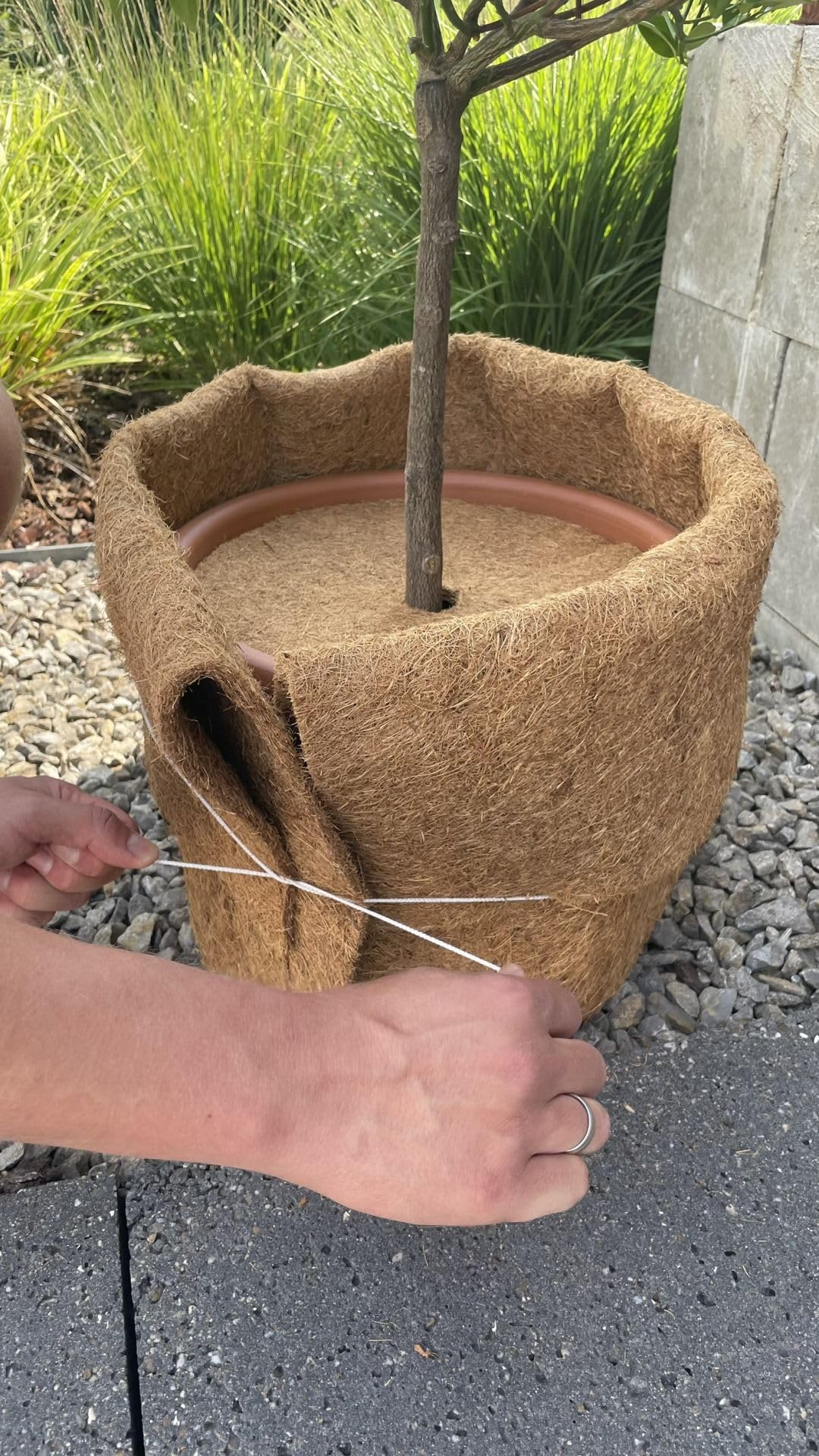 Wacredo 10m Kokosmatte 100% Natur - (50cm x 10m)