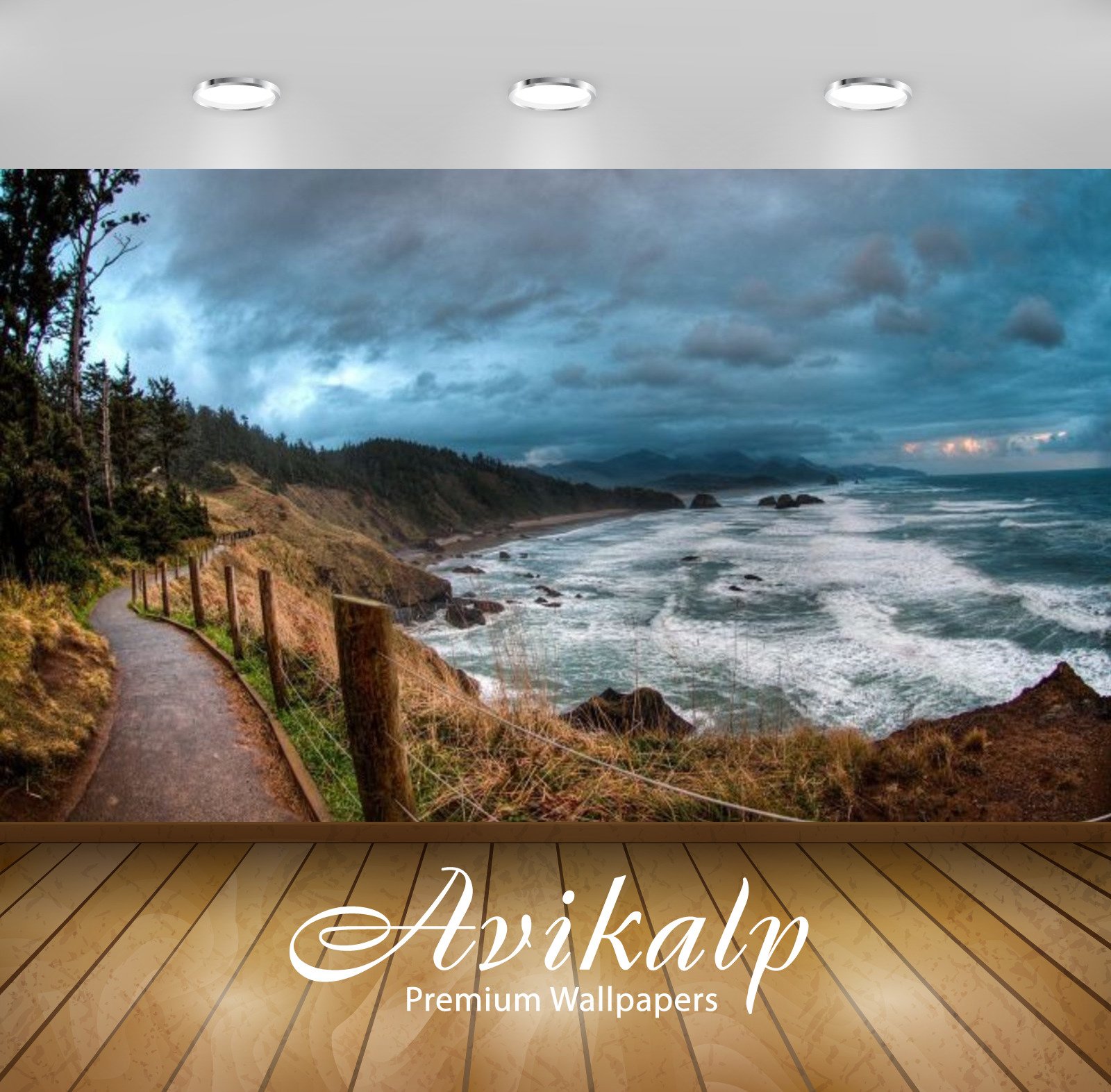 Avikalp Awi2986 Sea Coast Path Near Ocean Ecola State Park Oregon Hd Wallpapers (Vinyl, 365cm x 304cm)