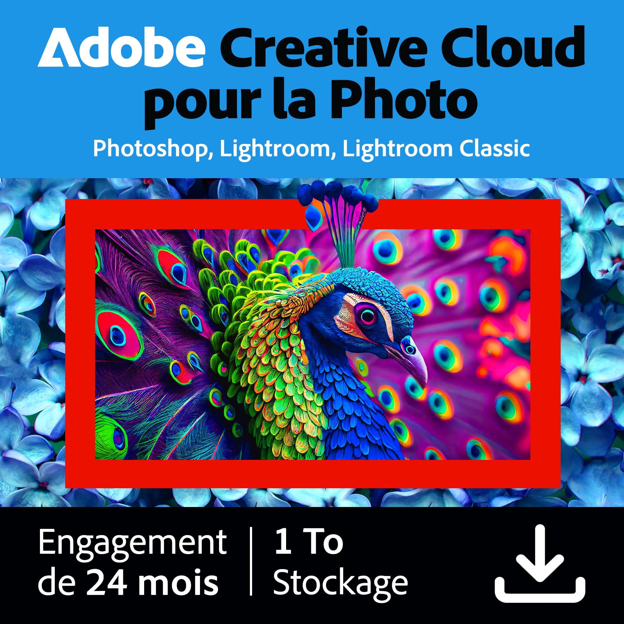 Adobe Creative Cloud Formule Photo 1 To, incluant Lightroom et Photoshop, éditeur photo assisté par IA | 12+12 mois exclusivité Amazon | Code d'activation - envoi par email