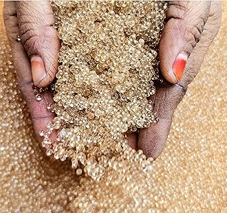 SSKR Crystal Soil Water Balls Rubber Jelly Beads Growing Jelly for Plants - 50 Grams | Big Size (Transparent Color)