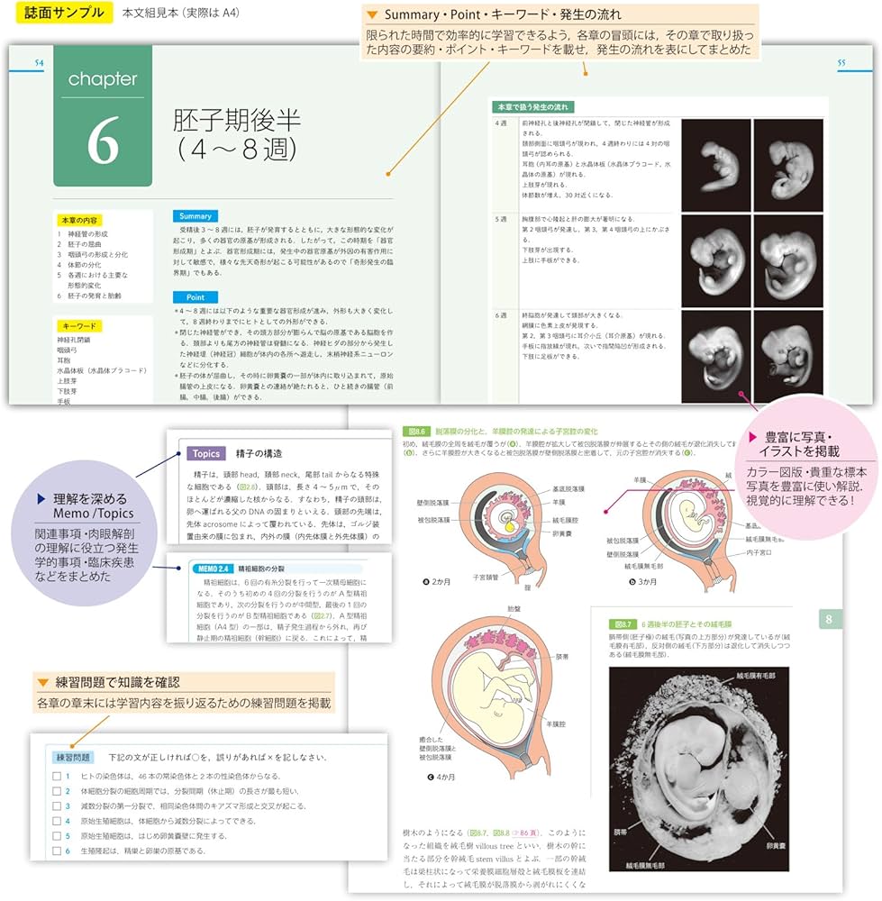 カラー図解 人体発生学講義ノート | 塩田 浩平 |本 | 通販 | Amazon