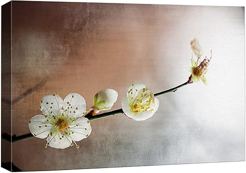 Wall26 - Lienzo decorativo con diseño de flor de durazno sobre piedras zen, color durazno