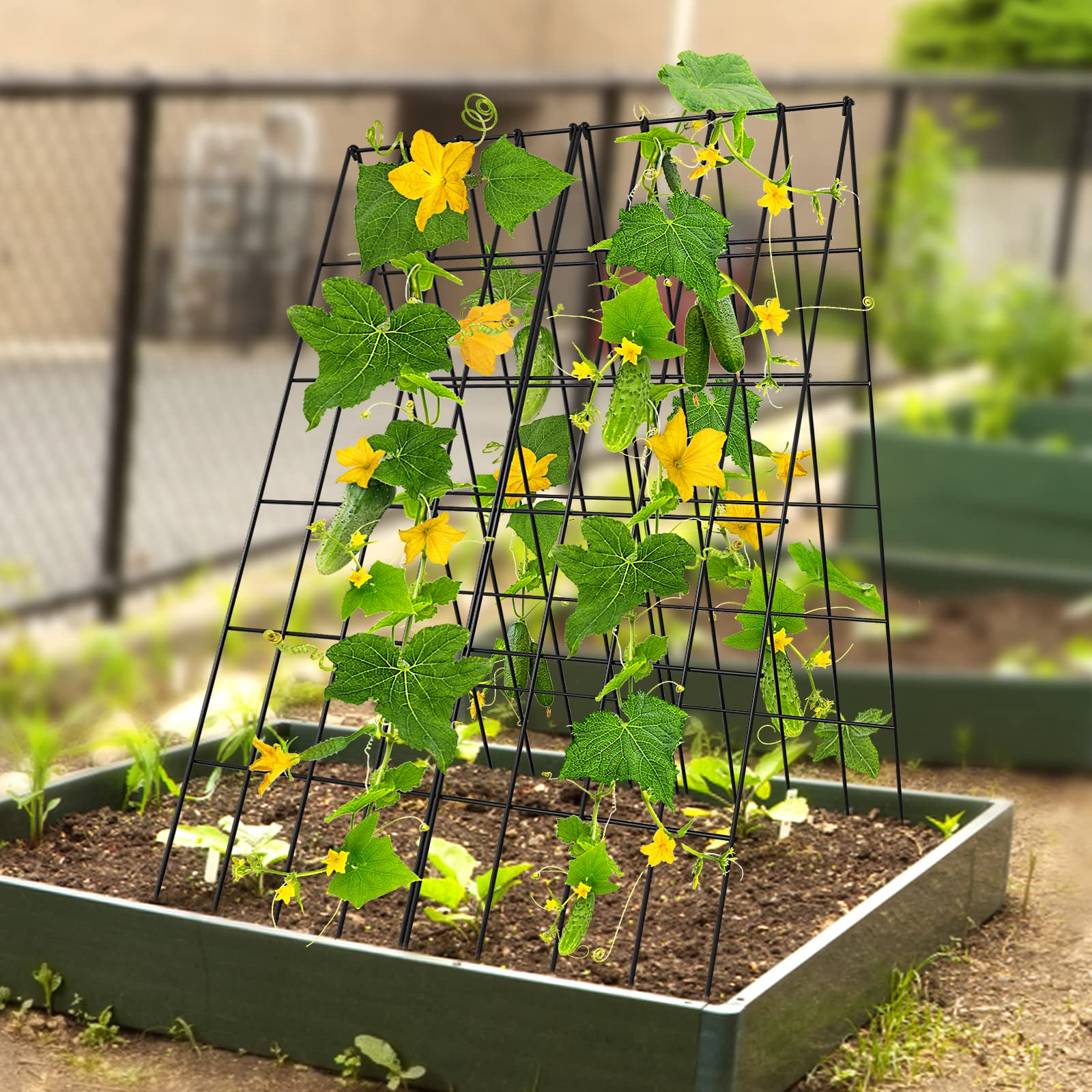 SUNYRISY 2er Set Metall Gurke Rankhilfe, Rankgitter für Gurke, Gitternetz Kletterpflanzen Rankhilfe, Tomaten Rankhilfe, Pflanzenstütze für Blumen & Nutzpflanzen, Schwarz
