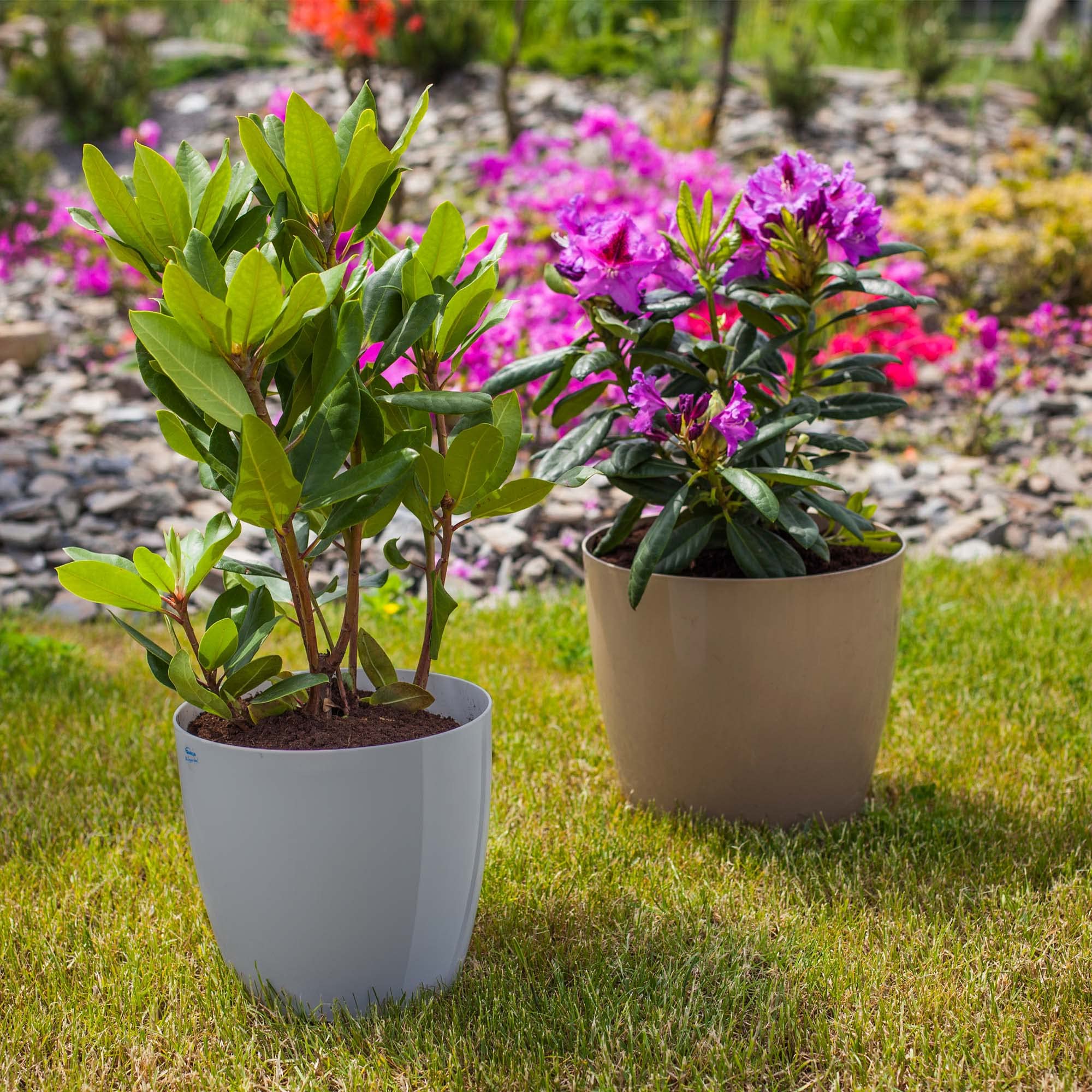 KADAX Blumentopf, Pflanzkübel-Set mit Untersetzer, Blumenkübel aus Kunststoff, runder Pflanztopf für Innenbereich, Übertopf für Blumen und Zimmerpflanzen, Kräutertopf (Set of 3 – 28cm, grau)