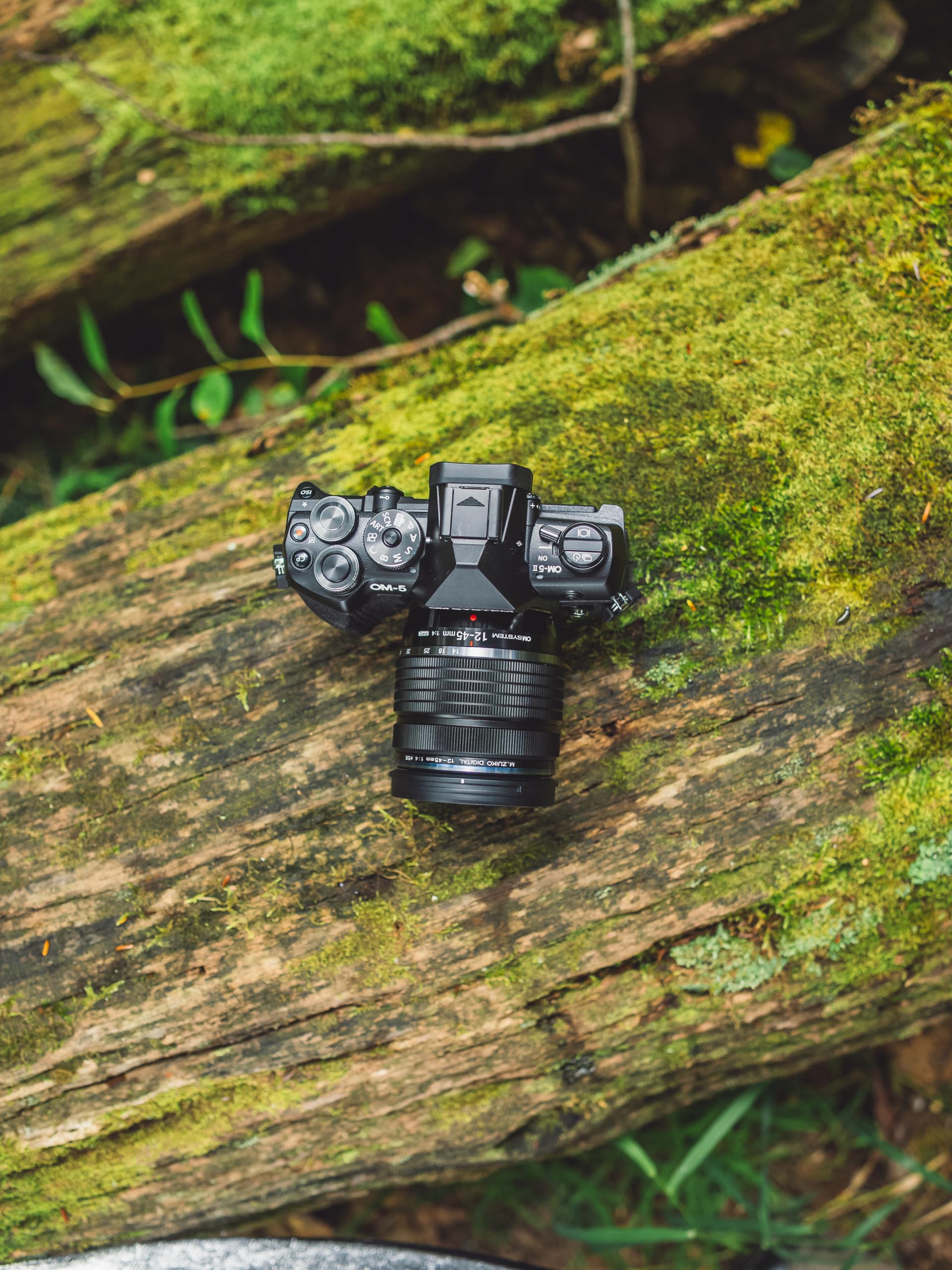 Amazon.com : OM SYSTEM OM-5 Mark II Mirrorless Camera, Black