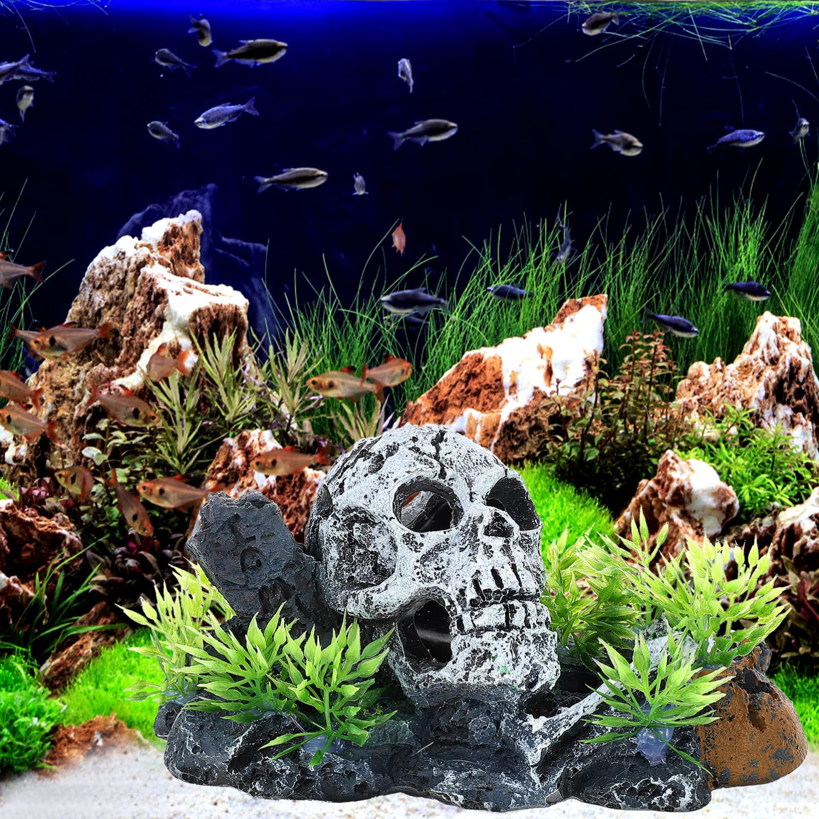 YARNOW 3 Pièces Ornements De Résine D'aquarium Vide Décor sous-Marin Décoration De Crâne D'aquarium Poisson Couvercle De Mousse Cachette Pierre à Air