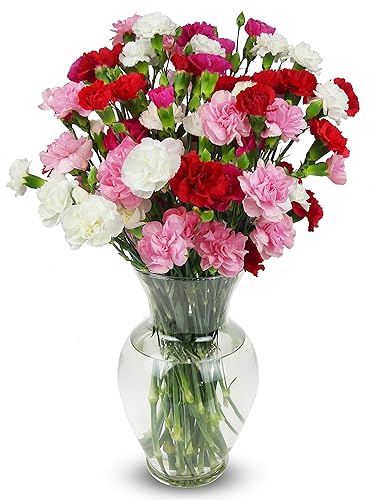 Benchmark Bouquets - 20 Stem Rainbow Mini Carnations (Glass Vase Included) - Fresh Flowers for Delivery - Gift for Birthday, Anniversary, Sympathy, Get Well, Congratulations, Thanksgiving, Christmas - Assorted