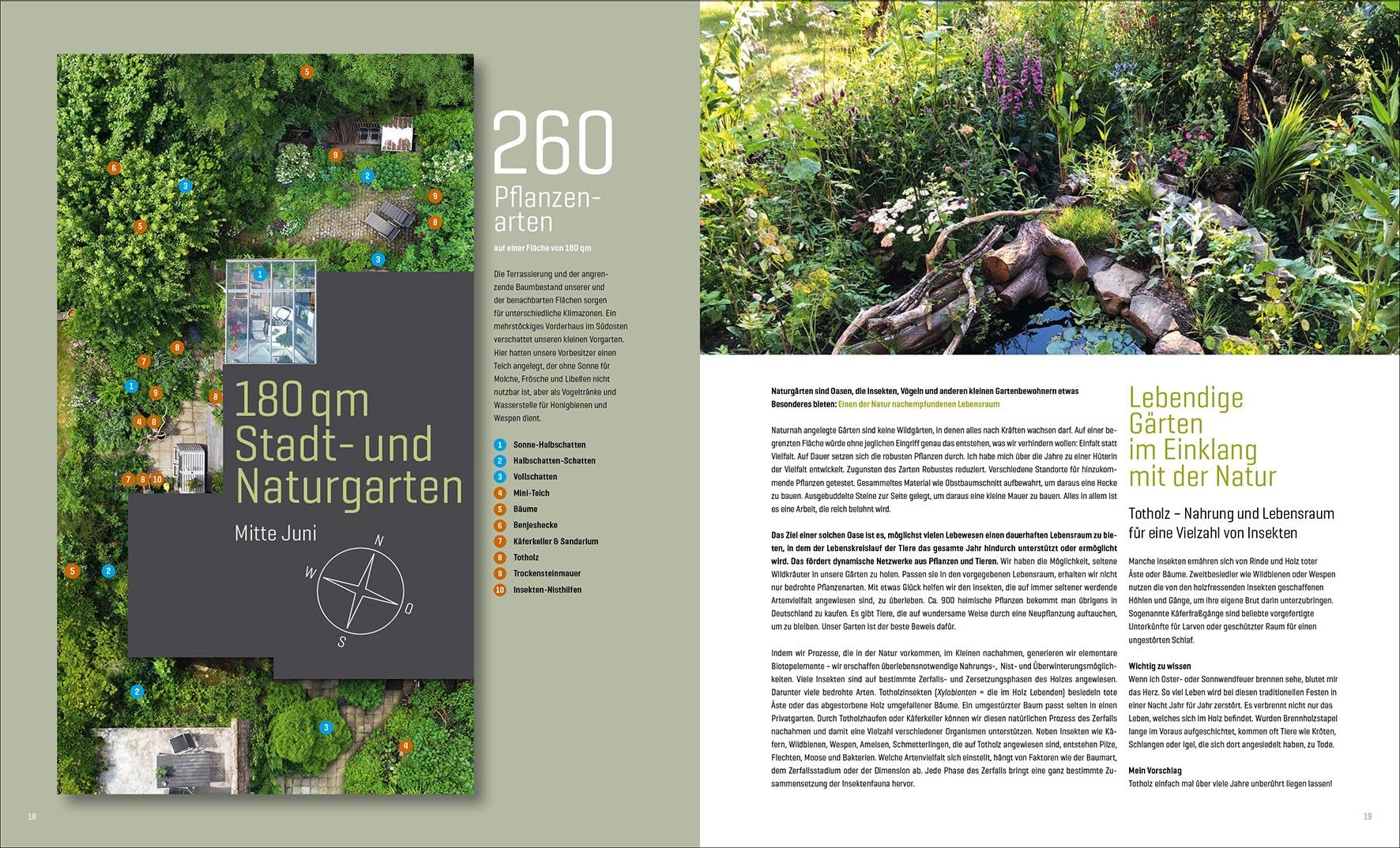 Mein Artenretter Garten: Mit den richtigen Pflanzen & Strukturen die Insektenvielfalt fördern