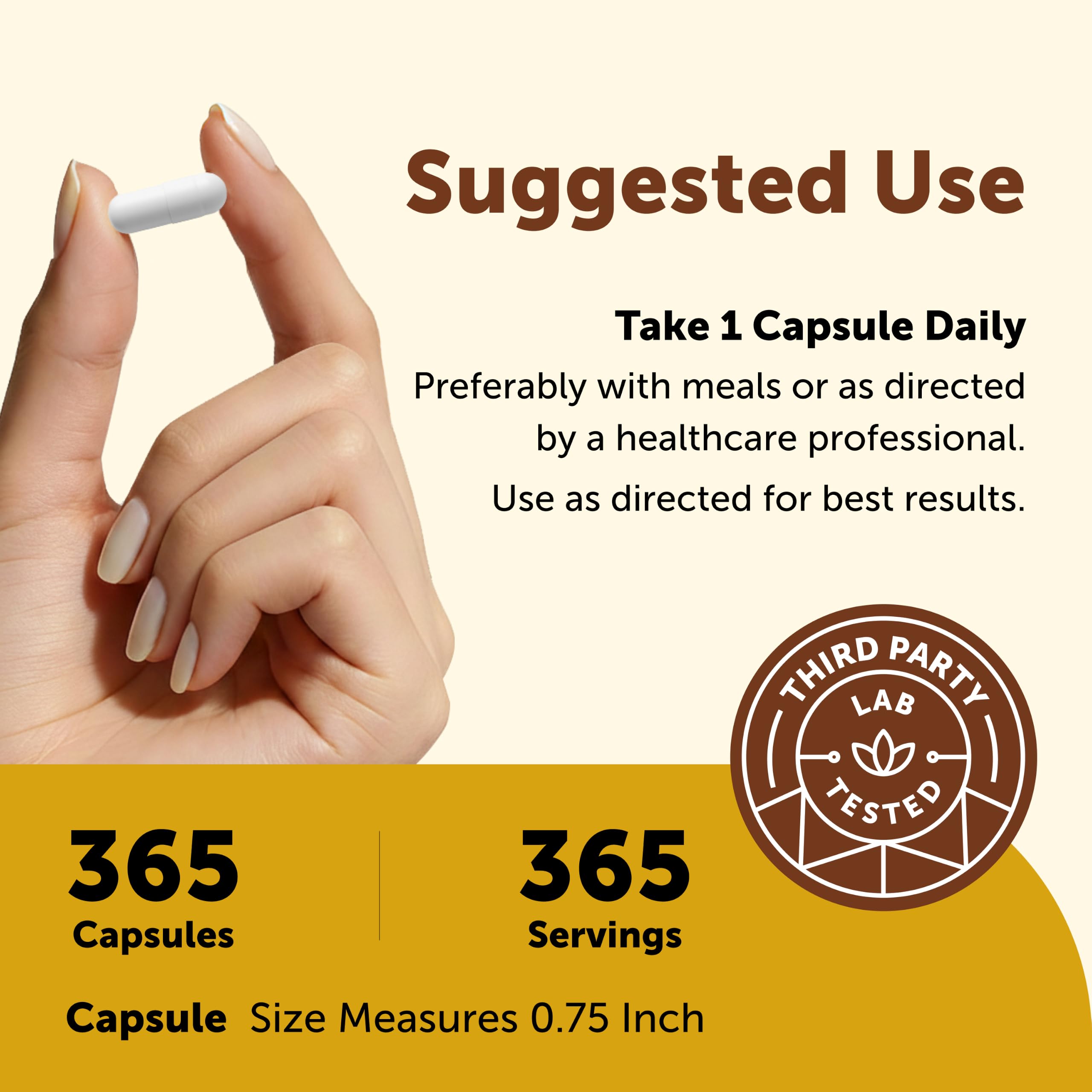 Micro Ingredients Pantothenic Acid, 500mg Vitamin B5 Per Serving | 365 Caps — Amazon image 4