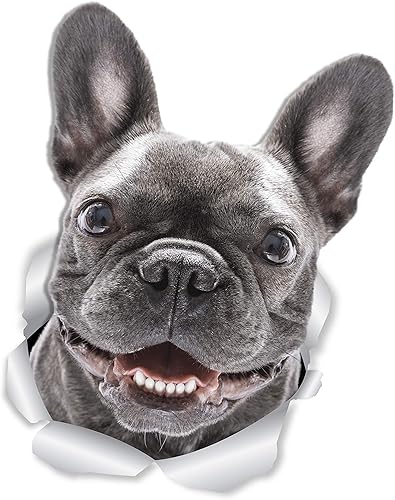 Miniatura 14 de Winston & Bear Calcomanías 3D para perros de bulldog francés, paquete de 2, decoración de bulldog francés, regalos de bulldog francés negro