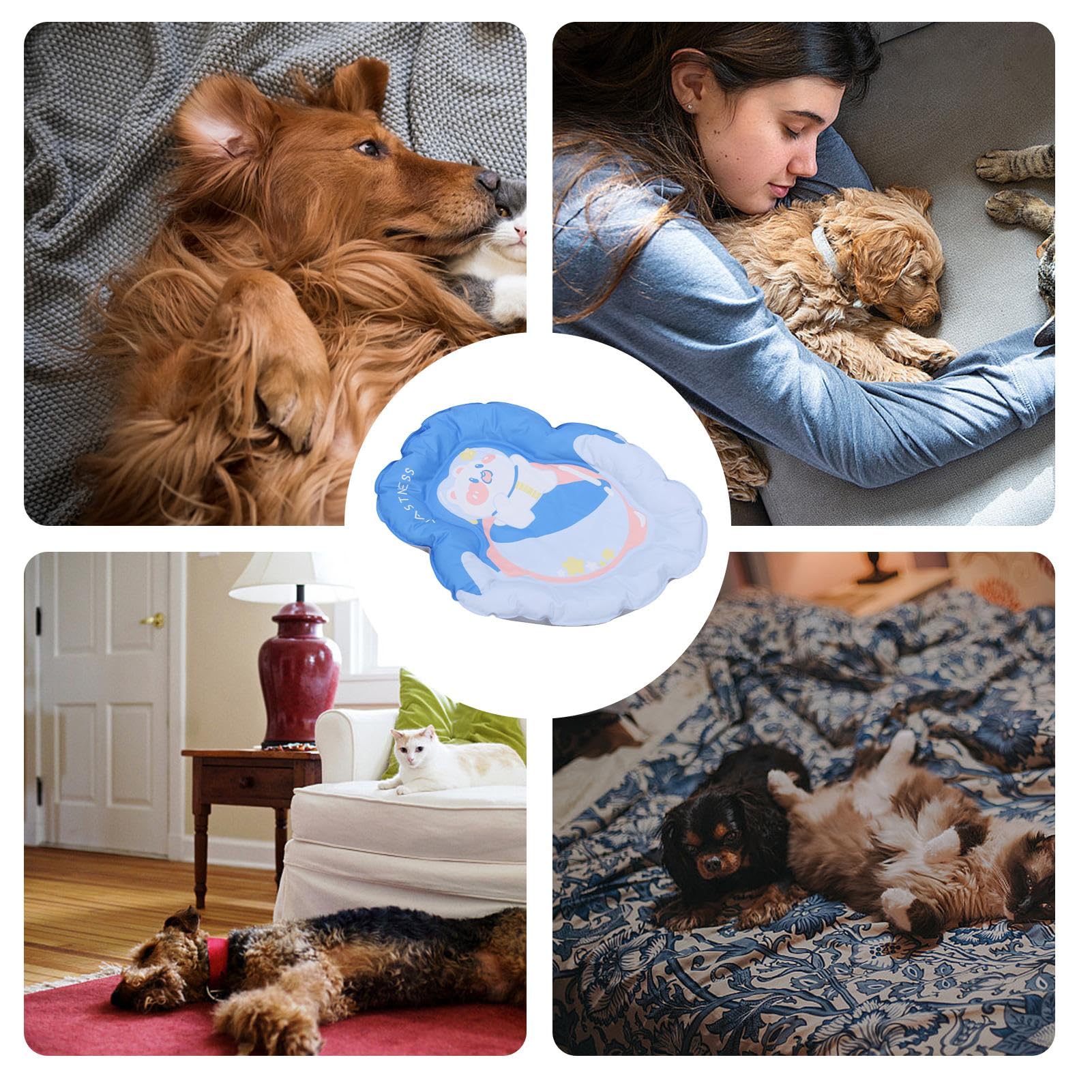 Tappetino Rinfrescante per Gatti Coperta Calmante Impermeabile E Cuscino Di | Tappetino Rinfrescante Per Cani Adatto a Interni e Esterni Gabbia Cuccia Canile Divano