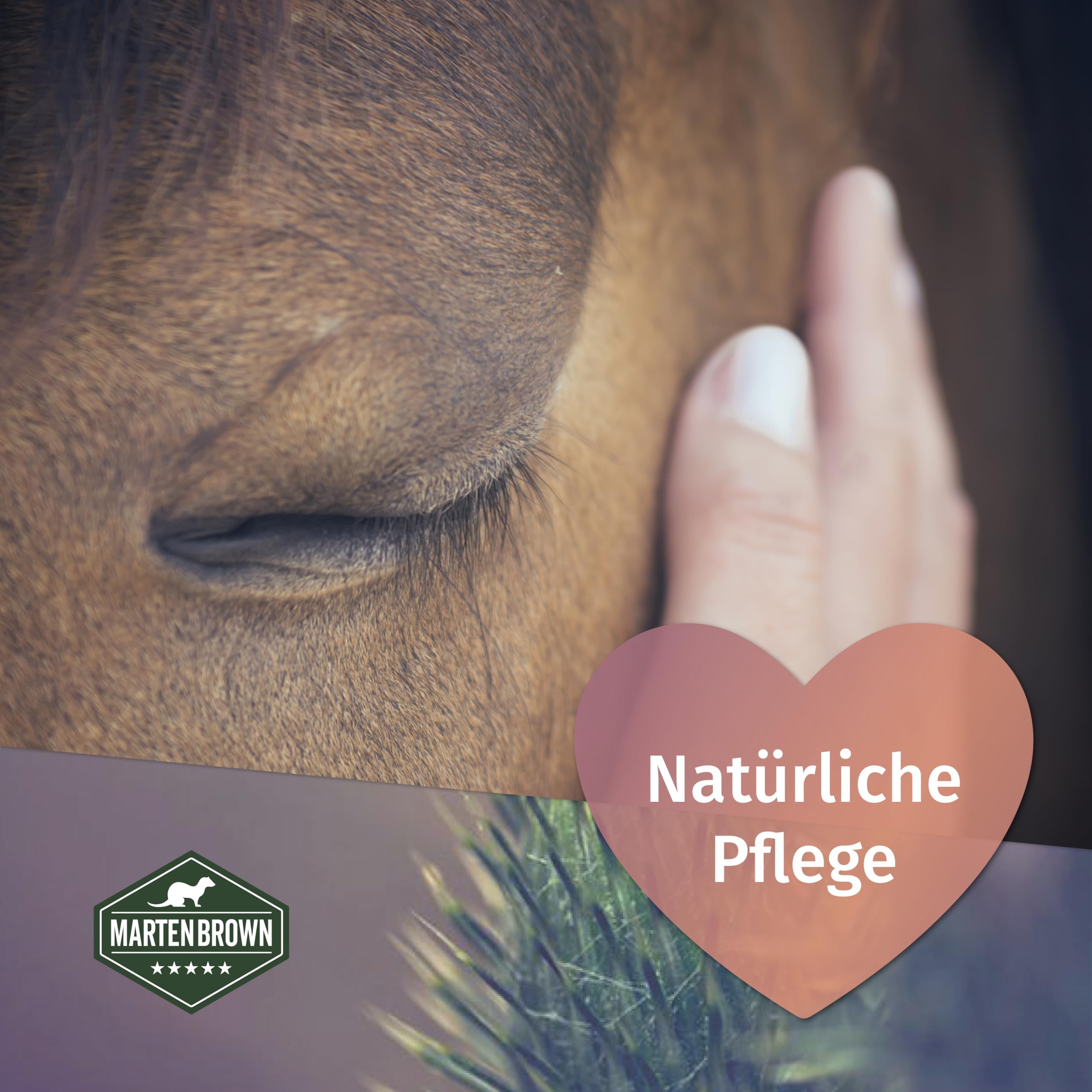 Martenbrown® Nasiona ostropestu plamistego 2,5 kg dla koni, psów i kotów – całe nasiona ostropestu plamistego bez dodatków - 100% produkt naturalny