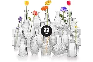 BEAHOT Assortment of 22 Clear Glass Bud Vases