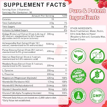 2 Pack Ginkgo Biloba Gummies for Adults & Kids, Ginkgo Biloba Supplements for Focus, Memory, and Brain Health, Vegan, Sugar-Free, Raspberry Flavor, 120 Count