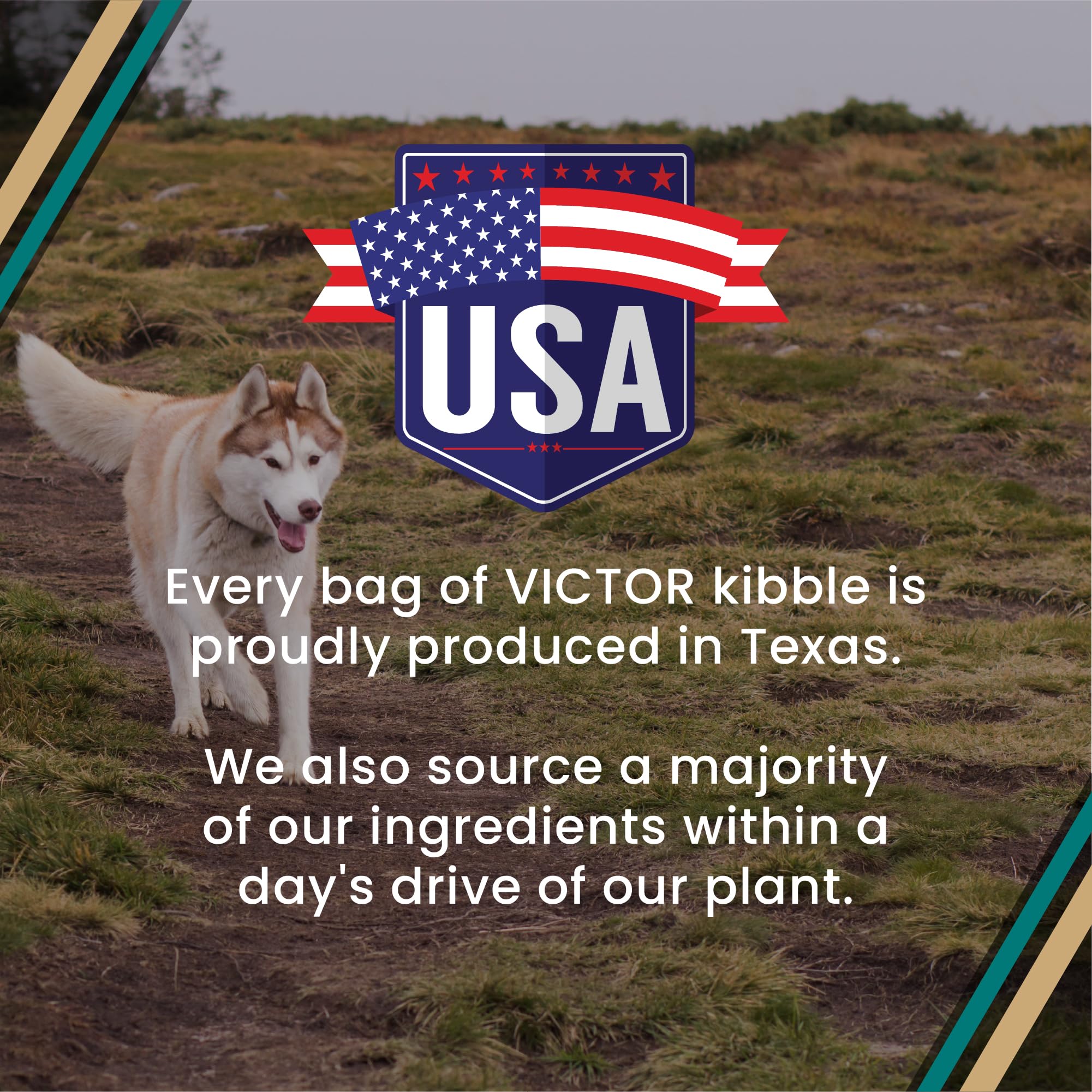 Victor Super Premium Dog Food – Hi-Pro Plus Dry Kibble – High Protein Dog Food con 30% de proteínas – Carne de Res, Pollo, Cerdo, Comida de Pescado, sin Gluten – para Perros y Cachorros Activos de