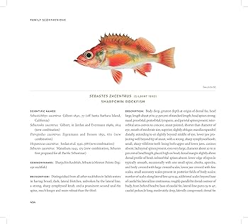 Amazon.com: Fishes of the Salish Sea, Volumes 13: Puget