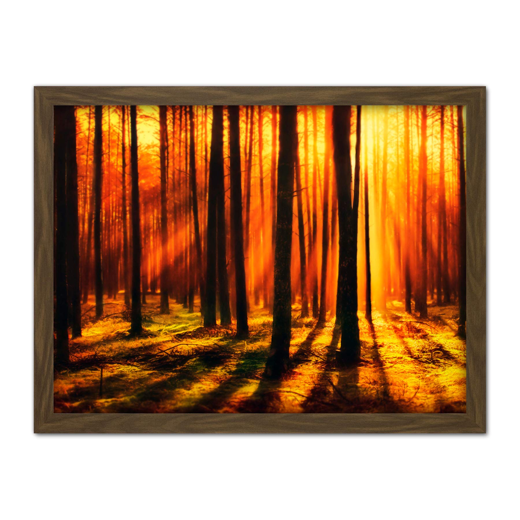 Artery8 Forest Sunset Nature Photograph Artwork Framed Wall Art Print 18X24 Inch