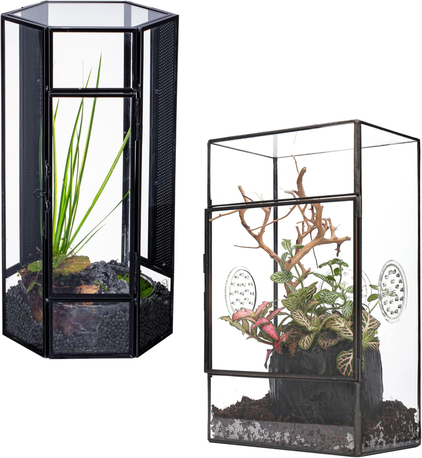 NCYP Vertical Hexagon-Shaped Glass Enclosure with Mesh and Door, and Glass Enxlosure with 3 Mesh Holes, Small Insects Habitat, for Jumping Spiders
