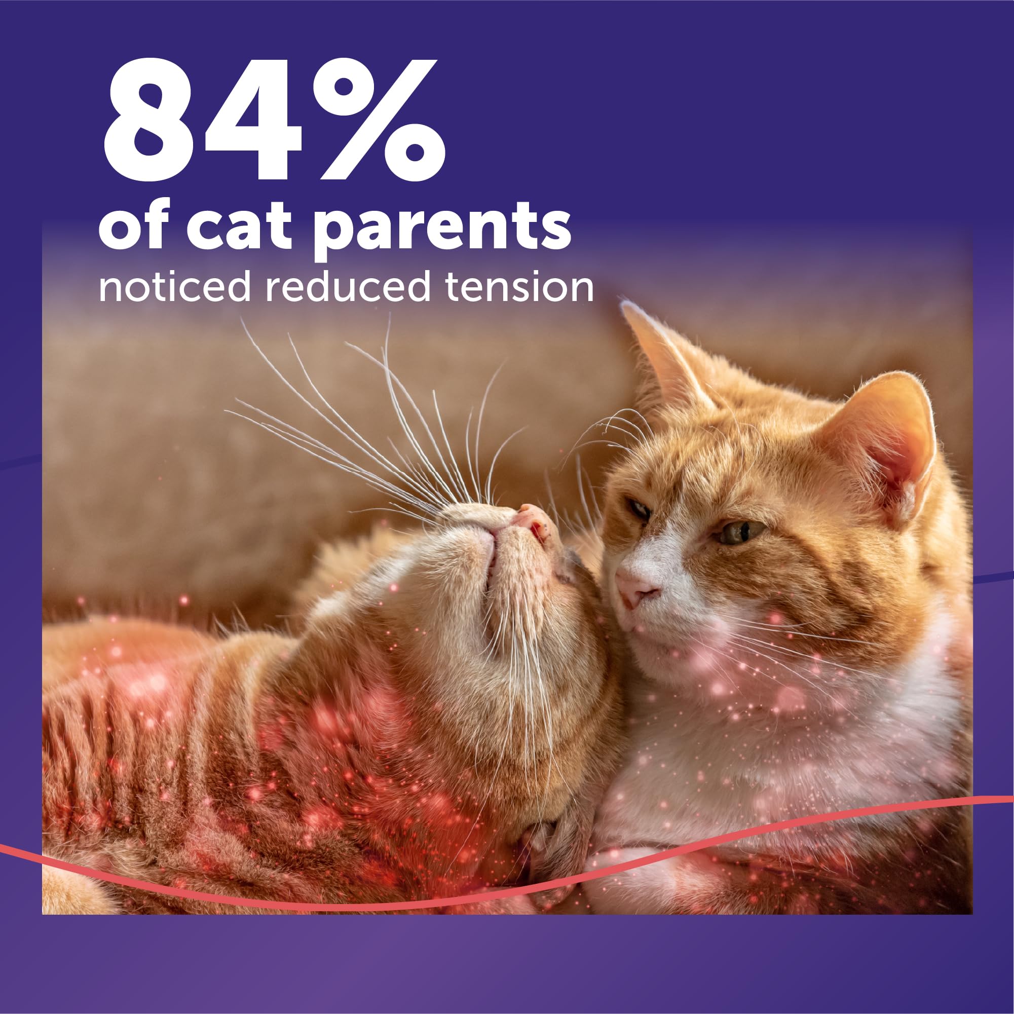 フェリウェイ Amazon.co.jp: FELIWAY(フェリウェイ) MultiCat 30日間 猫心を落ち着か