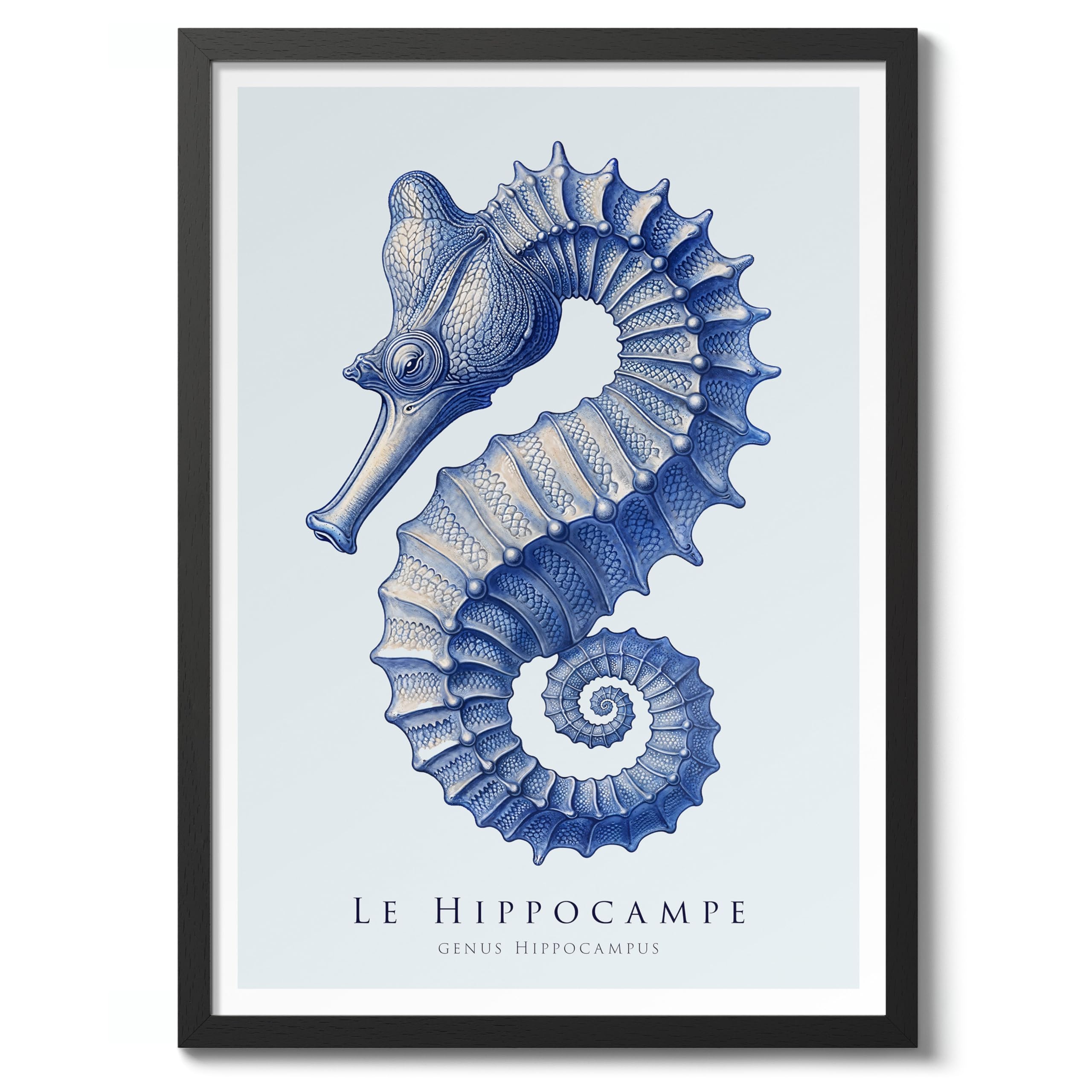Seahorse Nautical Exhibition Art Print, Vintage Botanical Prints, Retro Sealife Oceanography Illustration Wall Art Pictures, Nature Bathroom Home Decor, A4 (Black Frame) - 32.7x24.1cm