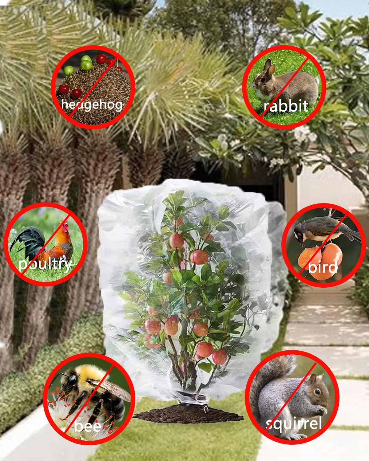 Paquete de 2 redes para árboles frutales, red de protección de tomates y arándanos con cremallera y cordón, barrera para insectos y pájaros, para árboles frutales, verduras, flores, arbustos en el