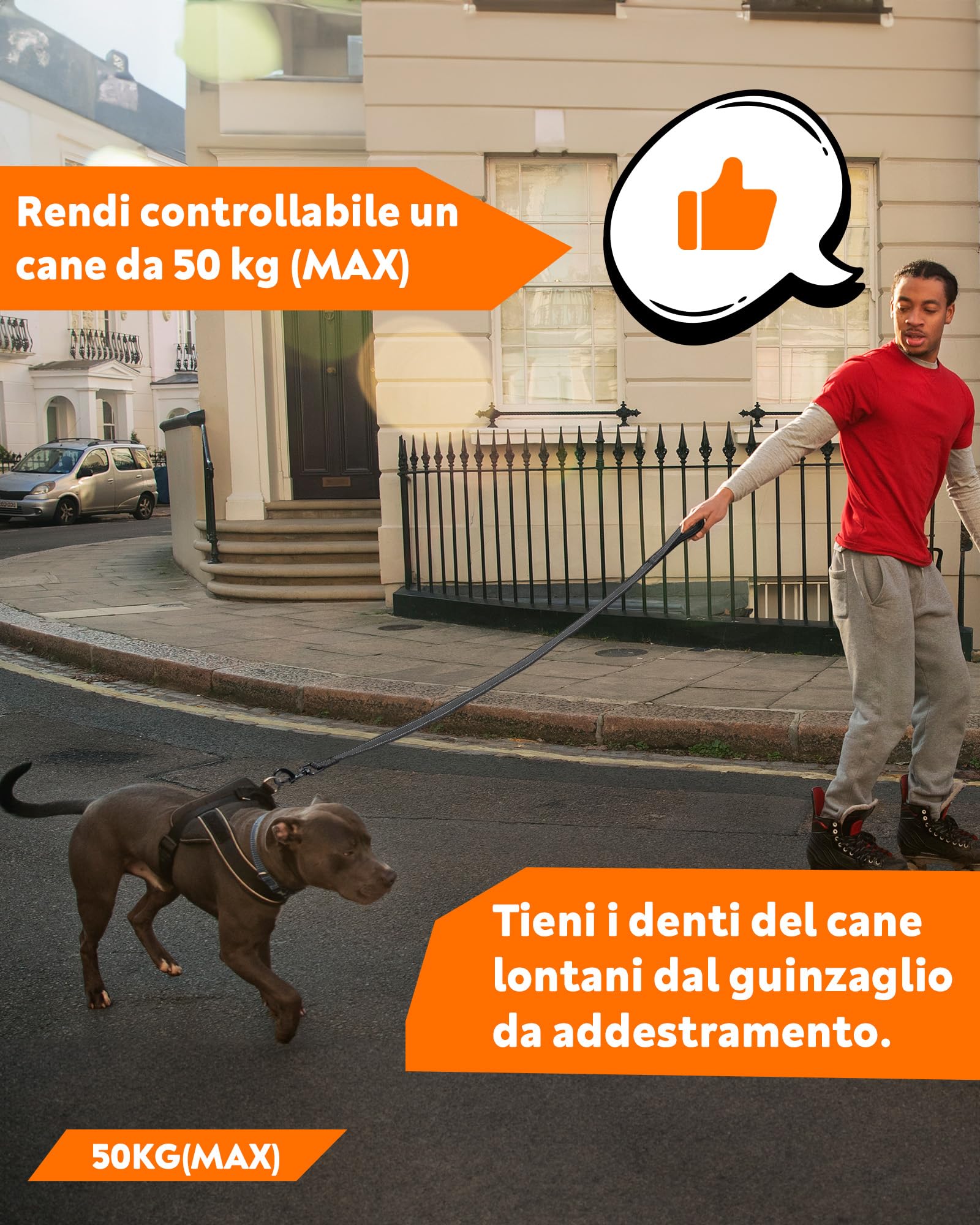 Toozey Lungo Guinzaglio per Cani Piccoli a Grandi e Medi con Gomma Antiscivolo e Strisce Riflettenti, 5m 10m 15m 20m Lunghina Cane Addestramento in Nylon Morbido e Resistente, 10m x 2,5cm