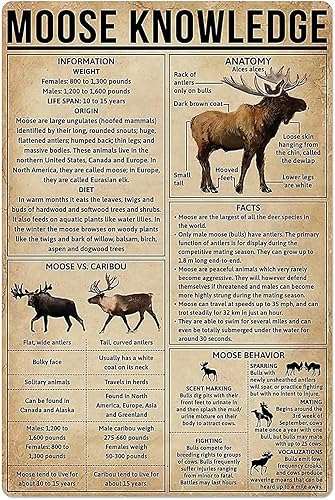 Moose Knowledge - Letrero de metal para pared, decoración de arte retro para el hogar, dormitorio, bar, cafetería, granja, 8 x 12 pulgadas