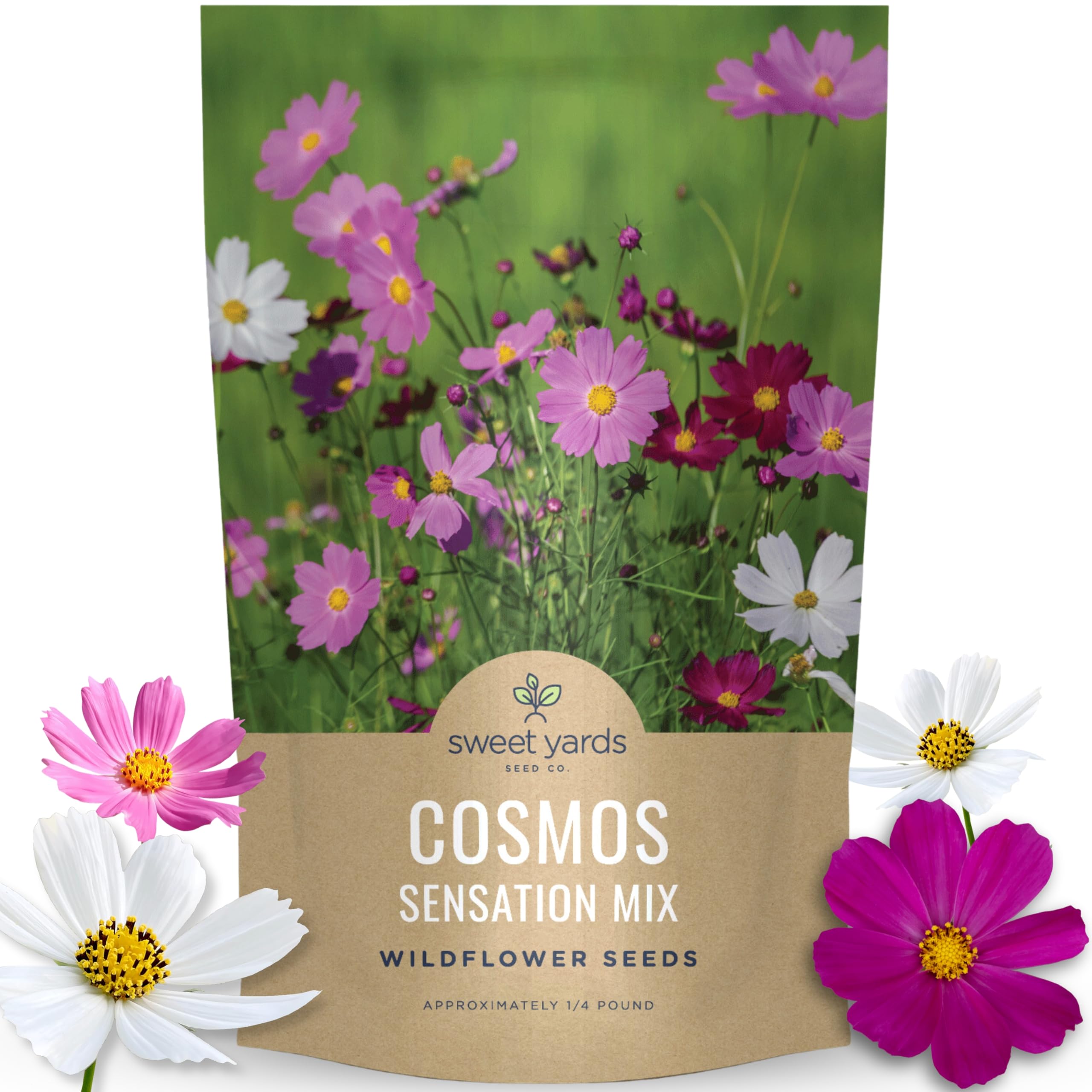 Cosmos Sensation Mix - Bulk 1/4 Pound Pouch - 15,000 Flower Seeds for Planting - Cosmos bipinnatus
