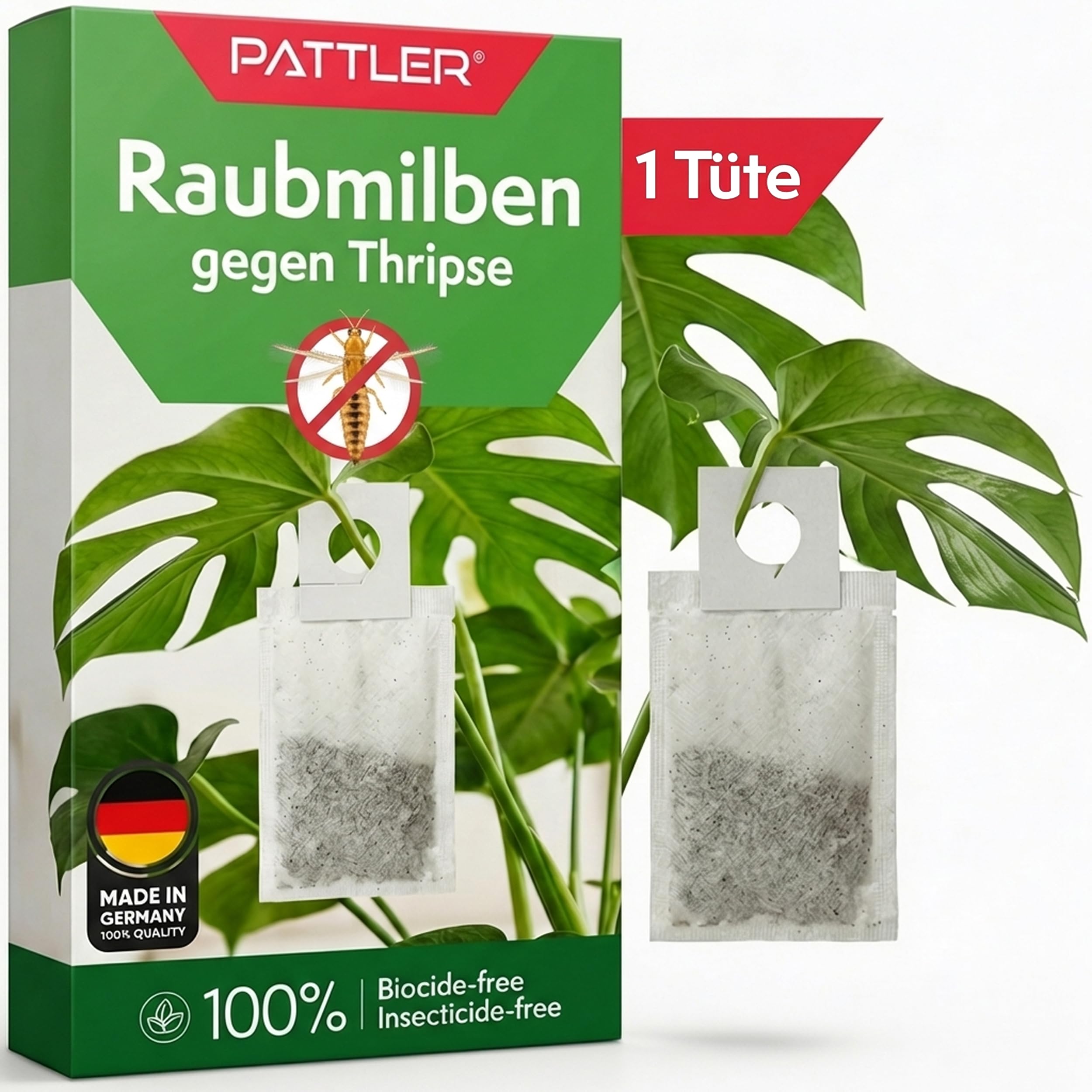 PATTLER Parent Raubmilben - 4 ASIN