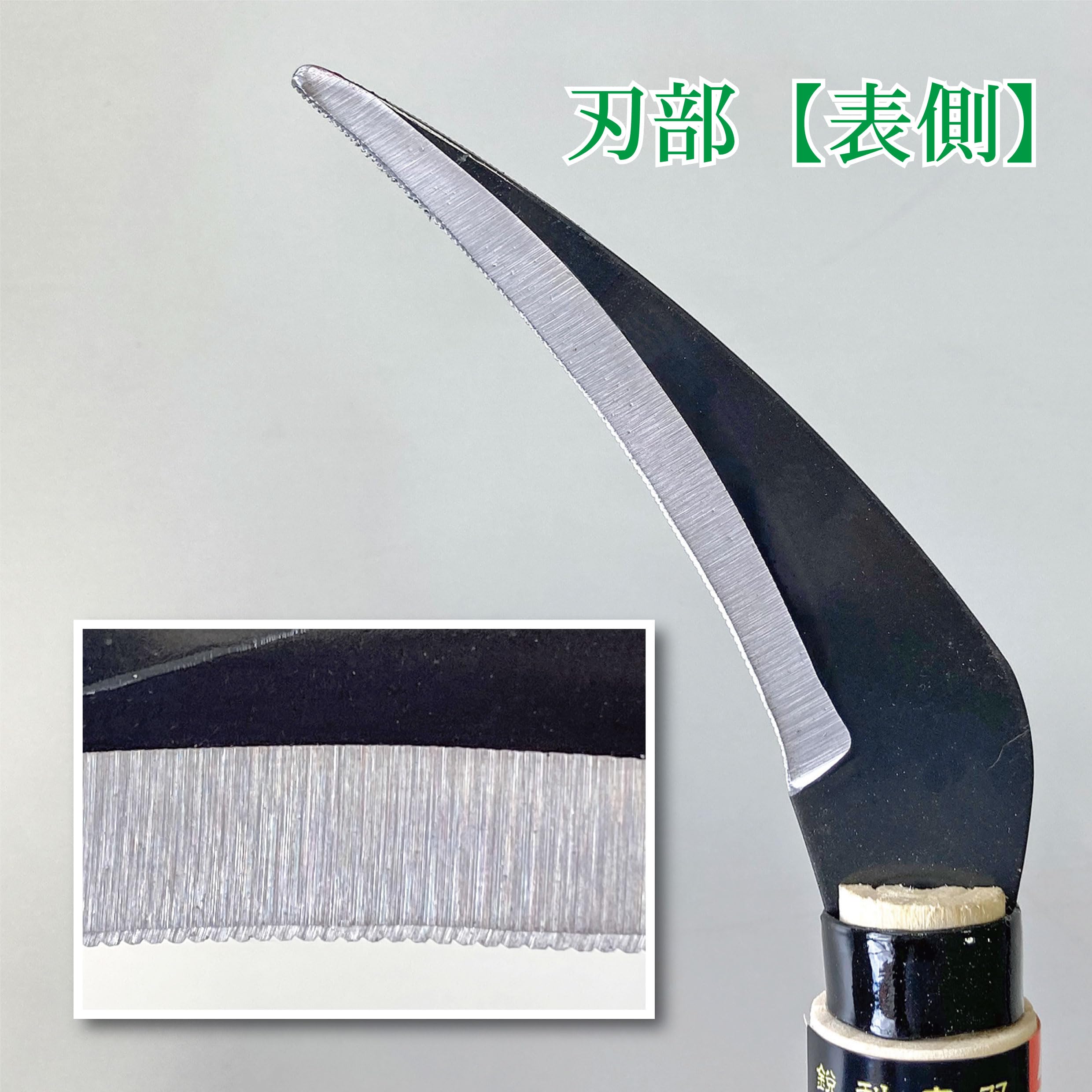 Amazon | キンボシ(Kinboshi) 金星 葉菜鎌 葵 140503 | かま