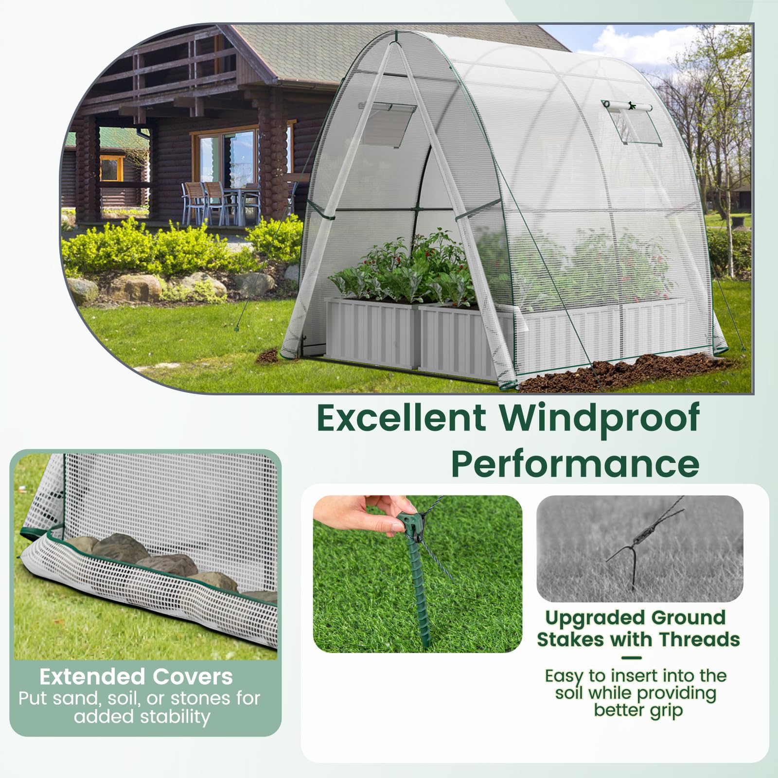 HOMASIS Serra Tunnel con Porta a Rullo e 2 Finestre, Serra da Giardino in PE e Telaio in Metallo, Serra da Balcone per Pomodori, 181 x 181 x 200 cm (Bianco)
