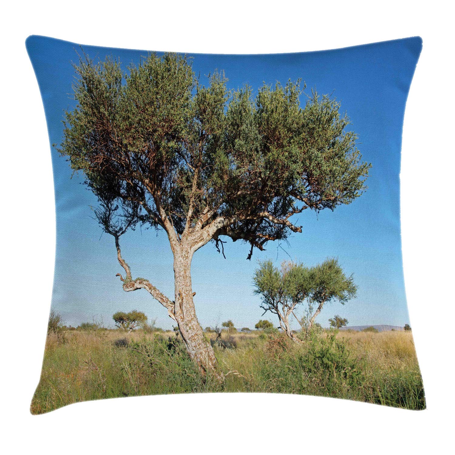 ABAKUHAUSTree Throw Pillow Cushion Cover, Real Life Image of Boscia Albitrunca in Grassland in Africa, Decorative Square Accent Pillow Case, 20 X 20 Inches, Azure Blue Tan