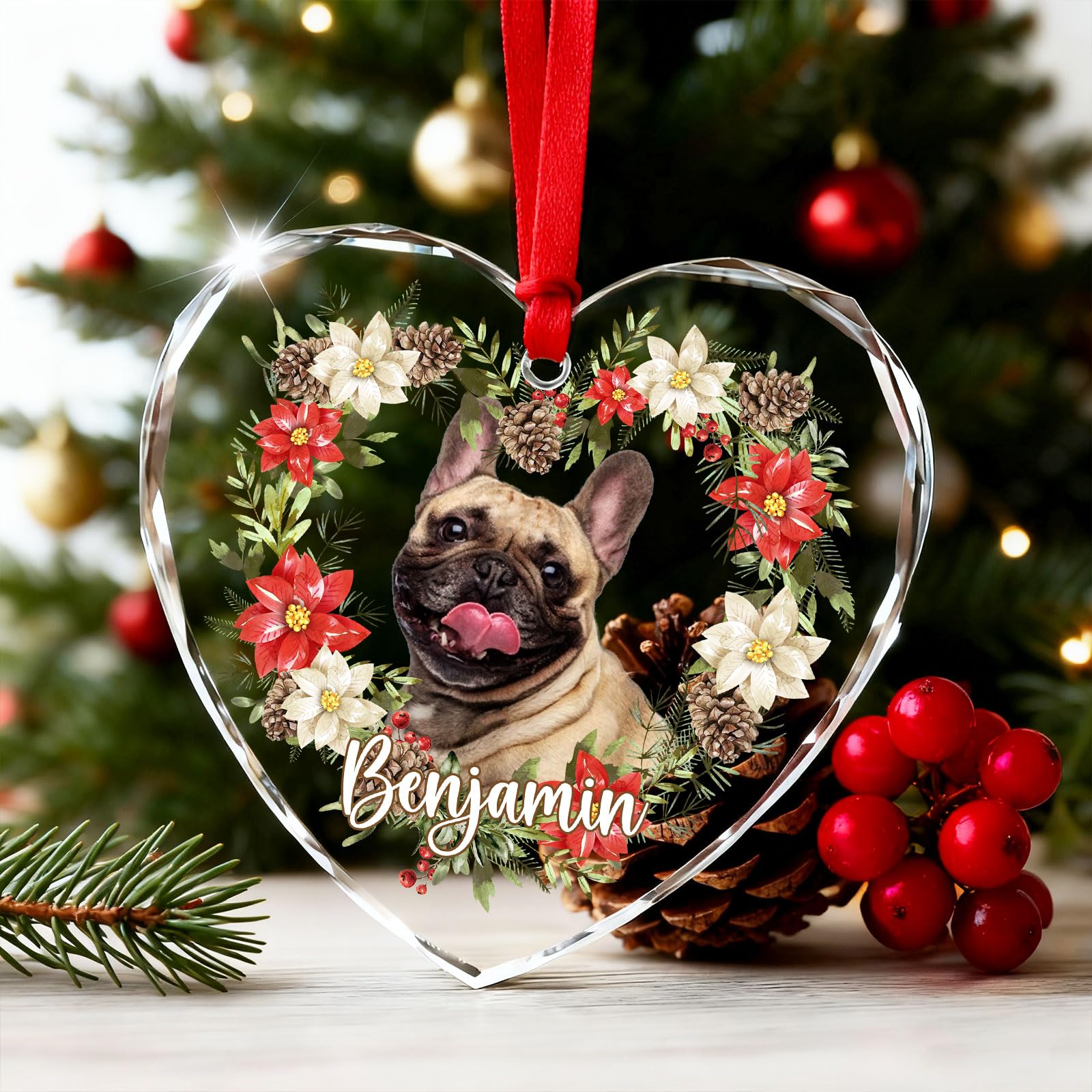 View 5