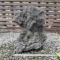 富士　溶岩石　77キロ　庭石　鑑賞石　石　庭　坪庭　ガーデニング　置物　オブジェ 富士 溶岩石 80キロ 庭石 鑑賞石 石 庭 坪庭 ガーデニング 置物