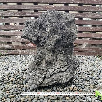 富士　溶岩石　160キロ　庭石　鑑賞石　石　庭　坪庭　ガーデニング　置物 Amazon.co.jp: 富士溶岩石26.5キロ庭石鑑賞石石盆石水石灯籠庭坪庭盆栽