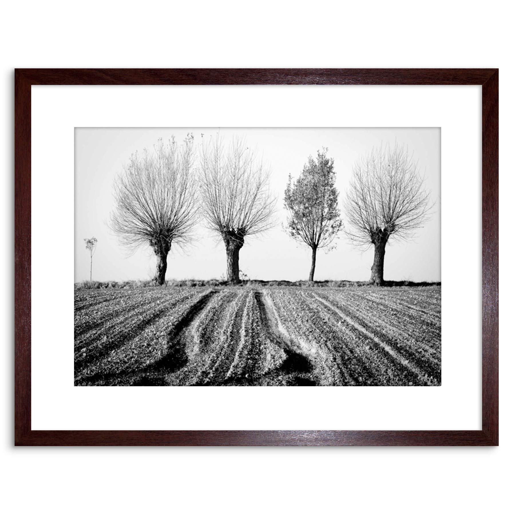 Wee Blue Coo 9x7 '' TREES HORIZON BLACK WHITE FRAMED ART PRINT PICTURE MOUNT PHOTO F97X1560