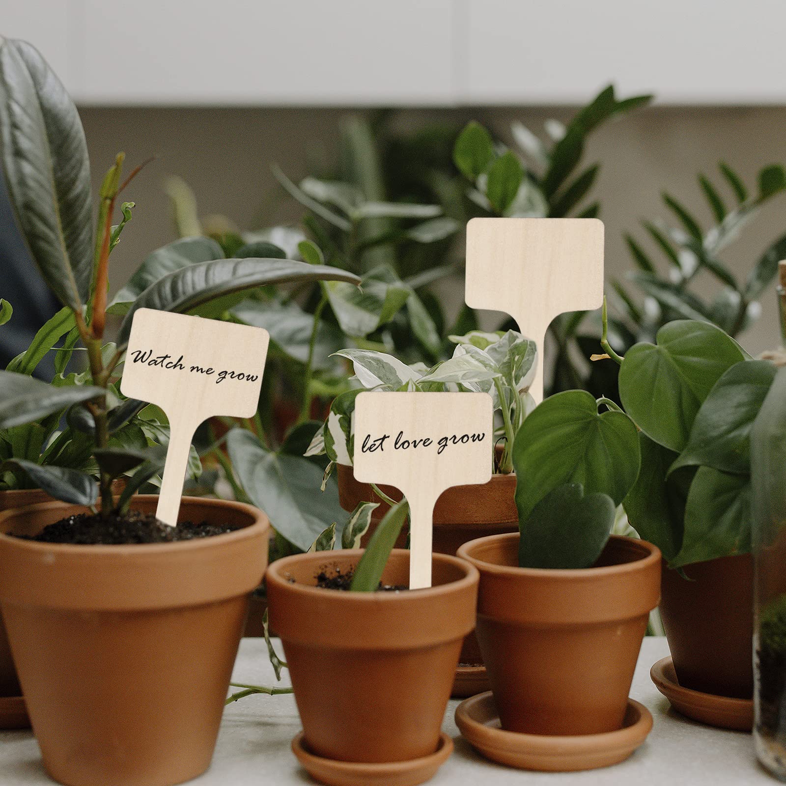 Snapklik 80 Pcs T Type Plant Tags Outdoor Wooden Garden Sign snapklik-80-pcs-t-type-plant-tags-outdoor-wooden-garden-sign